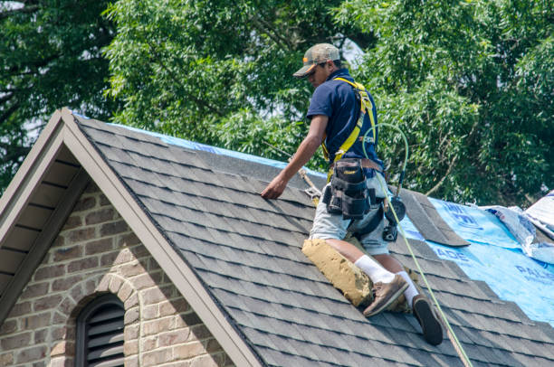 Best Roof Gutter Cleaning  in Advae, NC